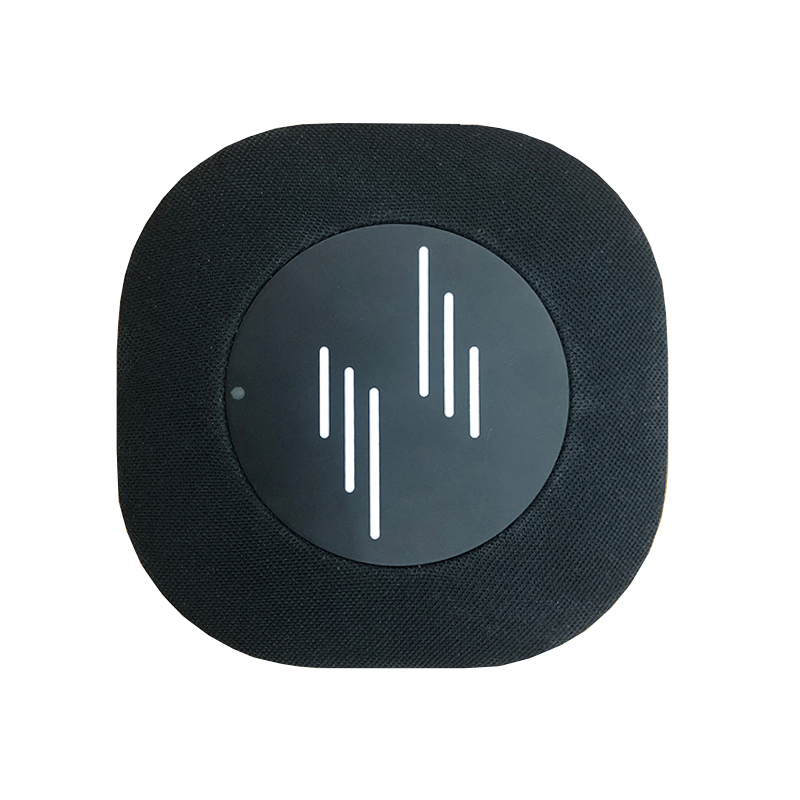 Non inductive amplifying microphone